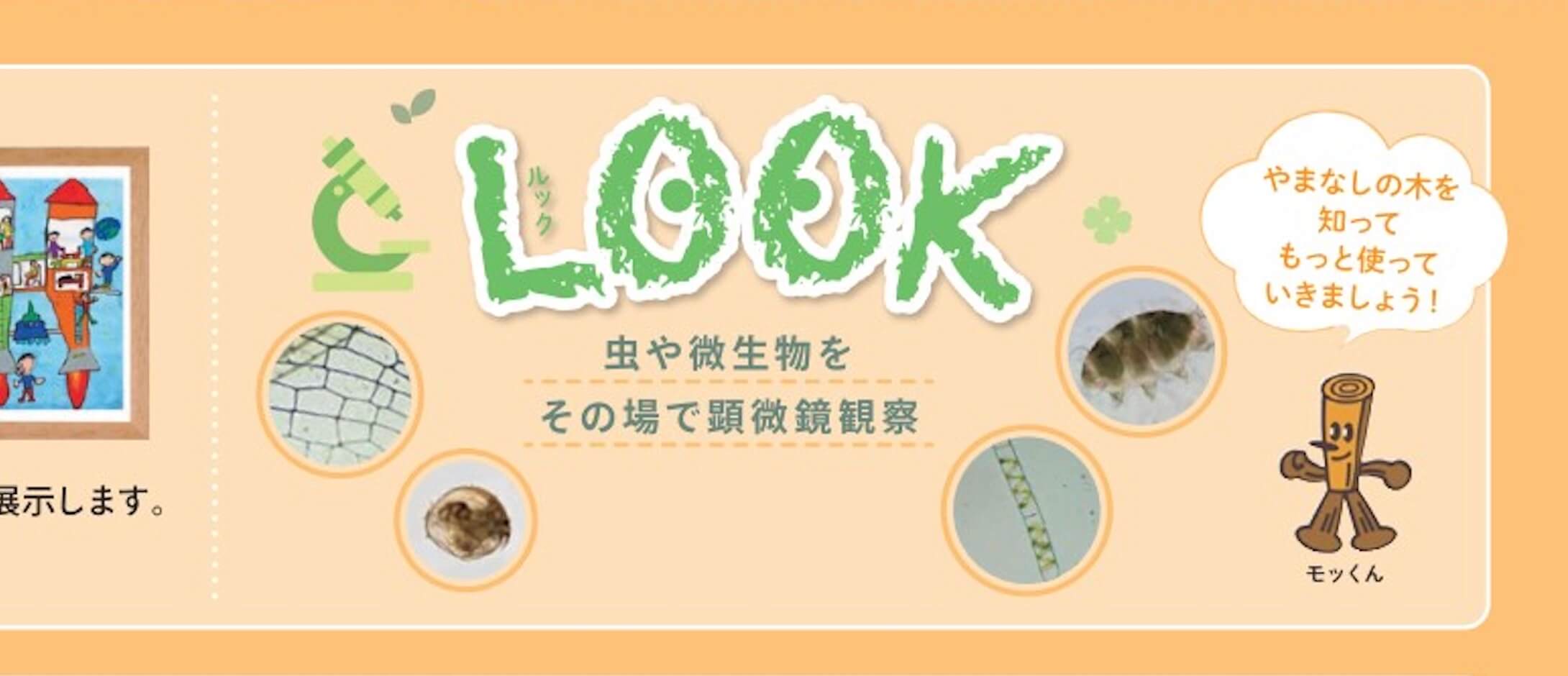 【2024年3月9〜10日】顕微鏡観察イベント『LOOK』開催
